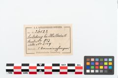 Etikett zu Bronzeknotenarmreif (NHMW-PRAE-026122)